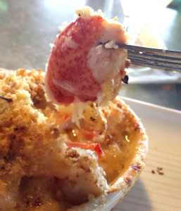 Restaurant Reviews Massachusetts - Legal Seafood - legal-lobstah 